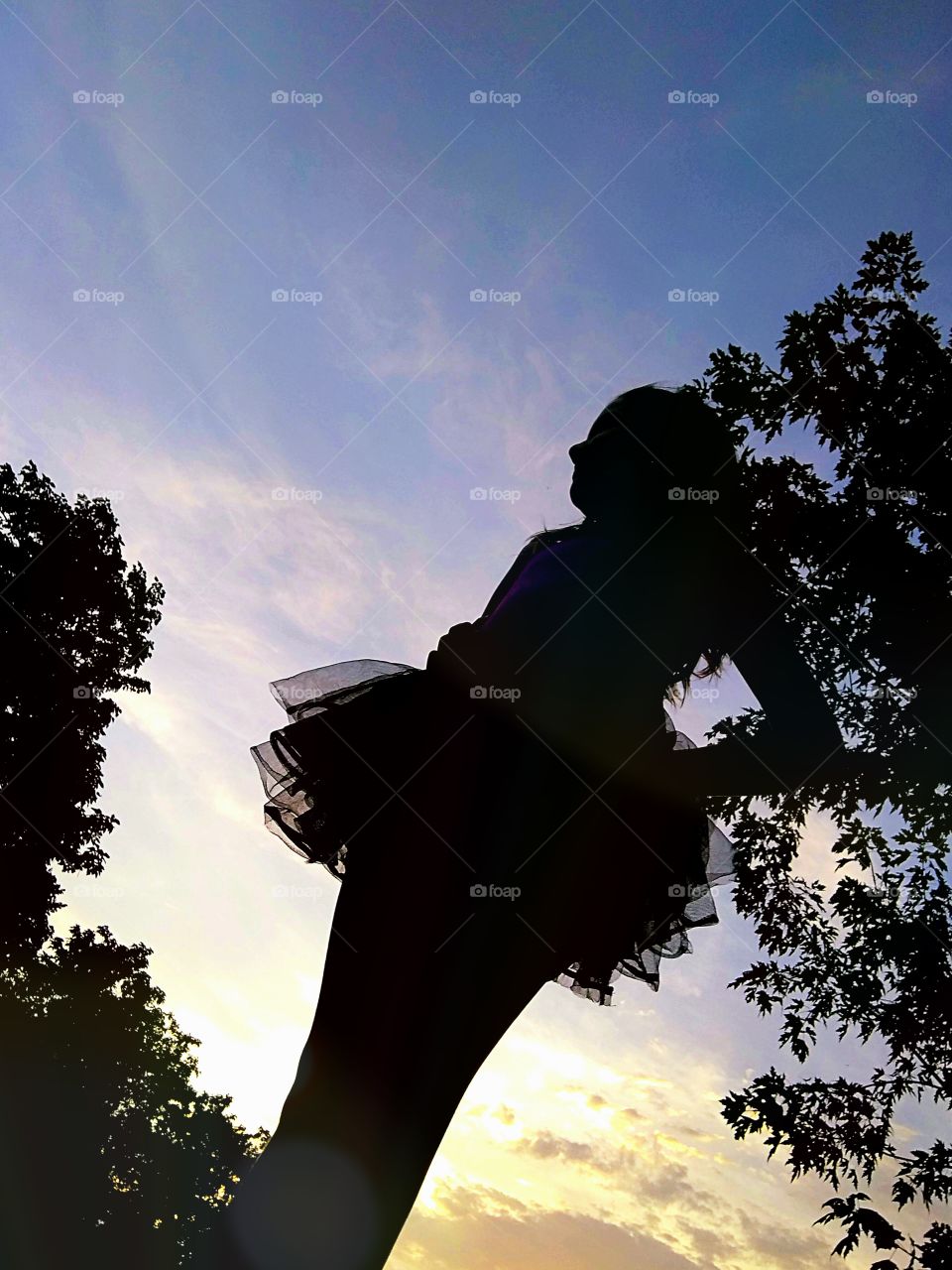 Nearly 8 years old, a perfect sunset silhouette of Molly stands tall and proud, happily and anxiously awaiting the dawning of her new age.