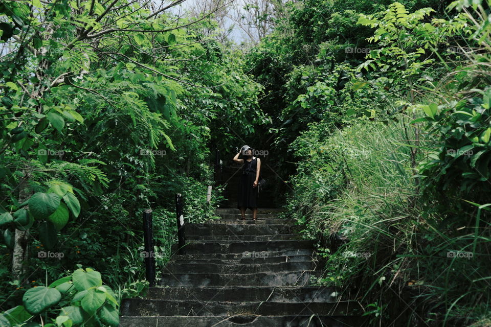 Wood, No Person, Nature, Leaf, Tree