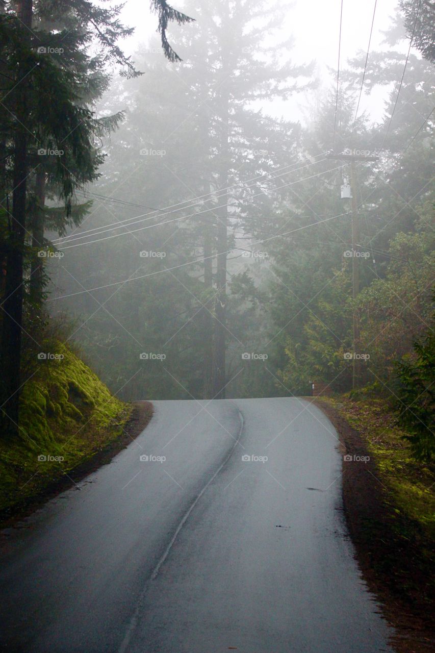 Empty road at the morning