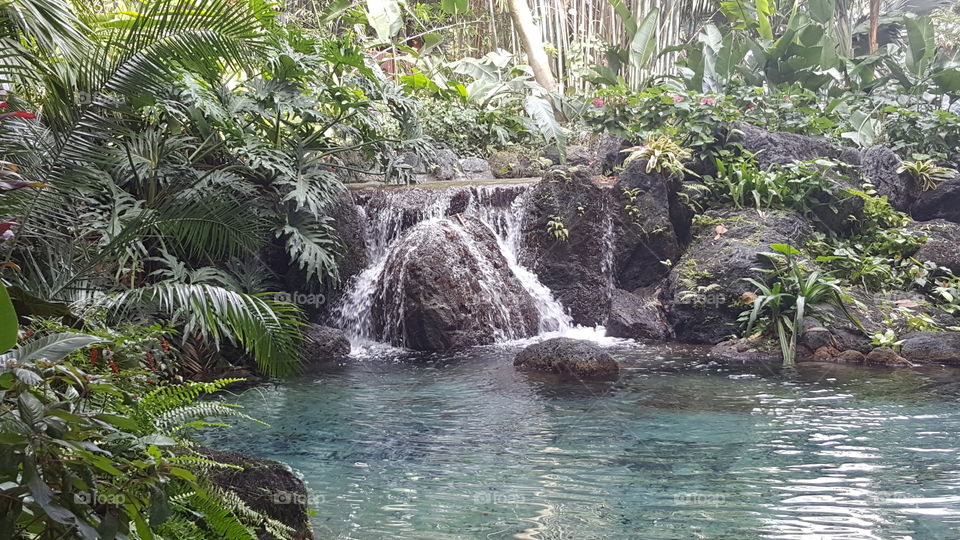 The soothing sounds of the waterfall resonate outside the Polynesian Village Resort at the Walt Disney World Resort in Orlando, Florida.