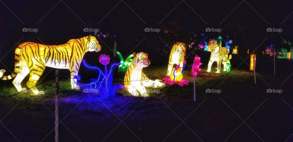 ILLUMINATION of Lights