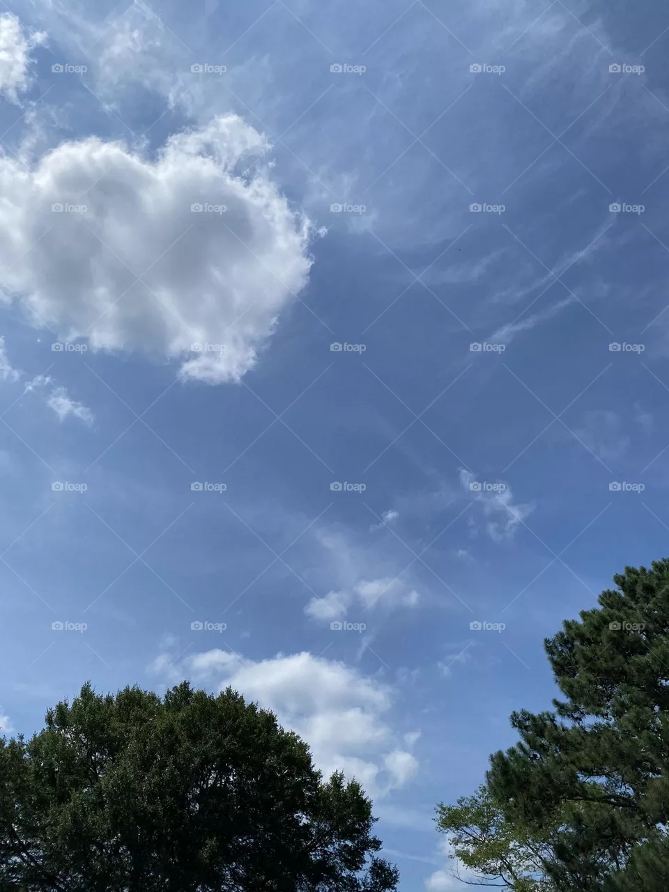 A hot summer day 