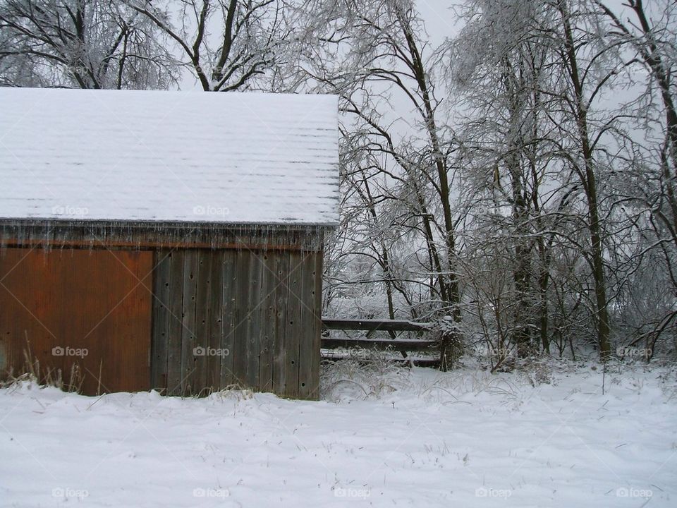 Winter barn 