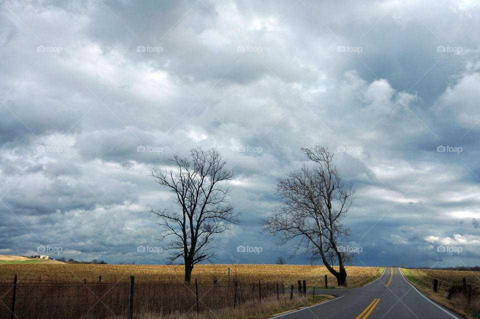 travel clouds trees road by evelia