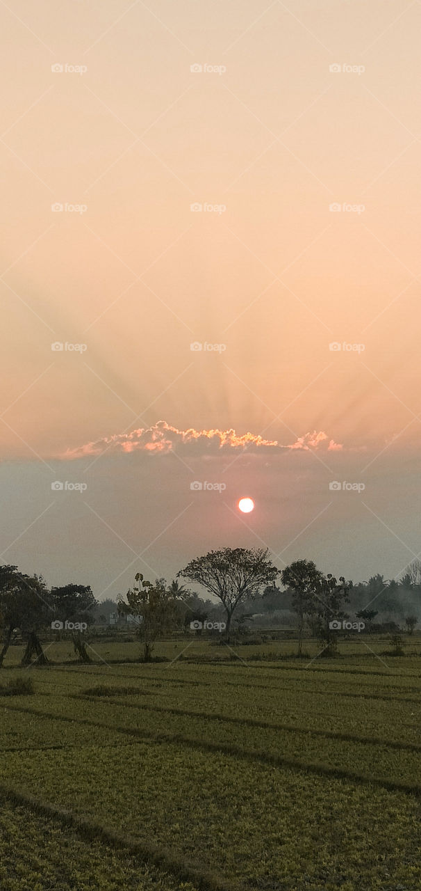 Take when behind the house