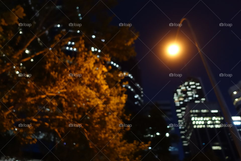 City night view shows lights and a tree.
