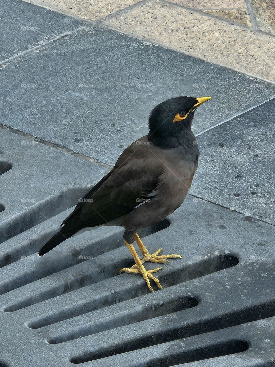 and safe on the ground