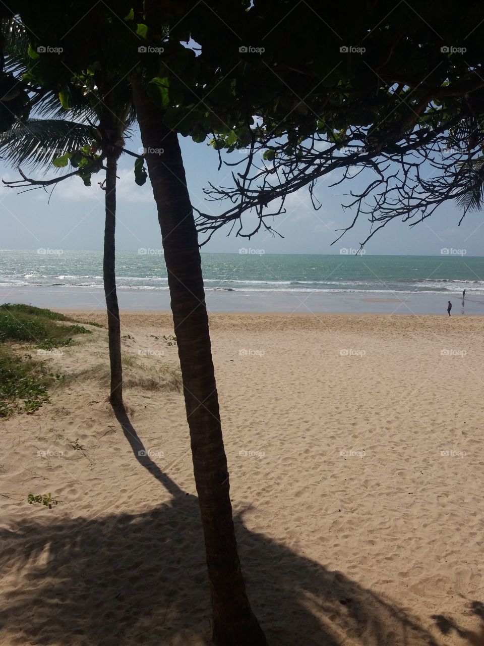 Brazilian beach