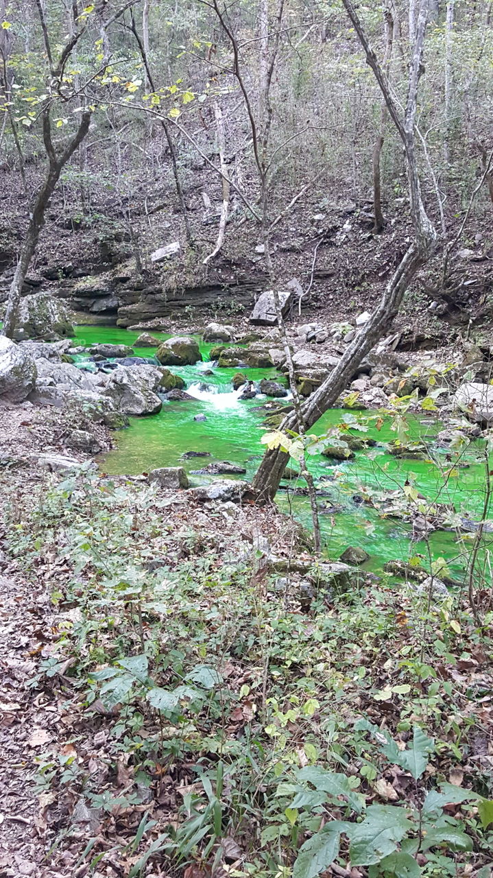 Geological tracking of the waters flow and destination. Dye is not harmful to the environment or humans and animals. Created unusual picture opportunities. I was in the right place at the right time.