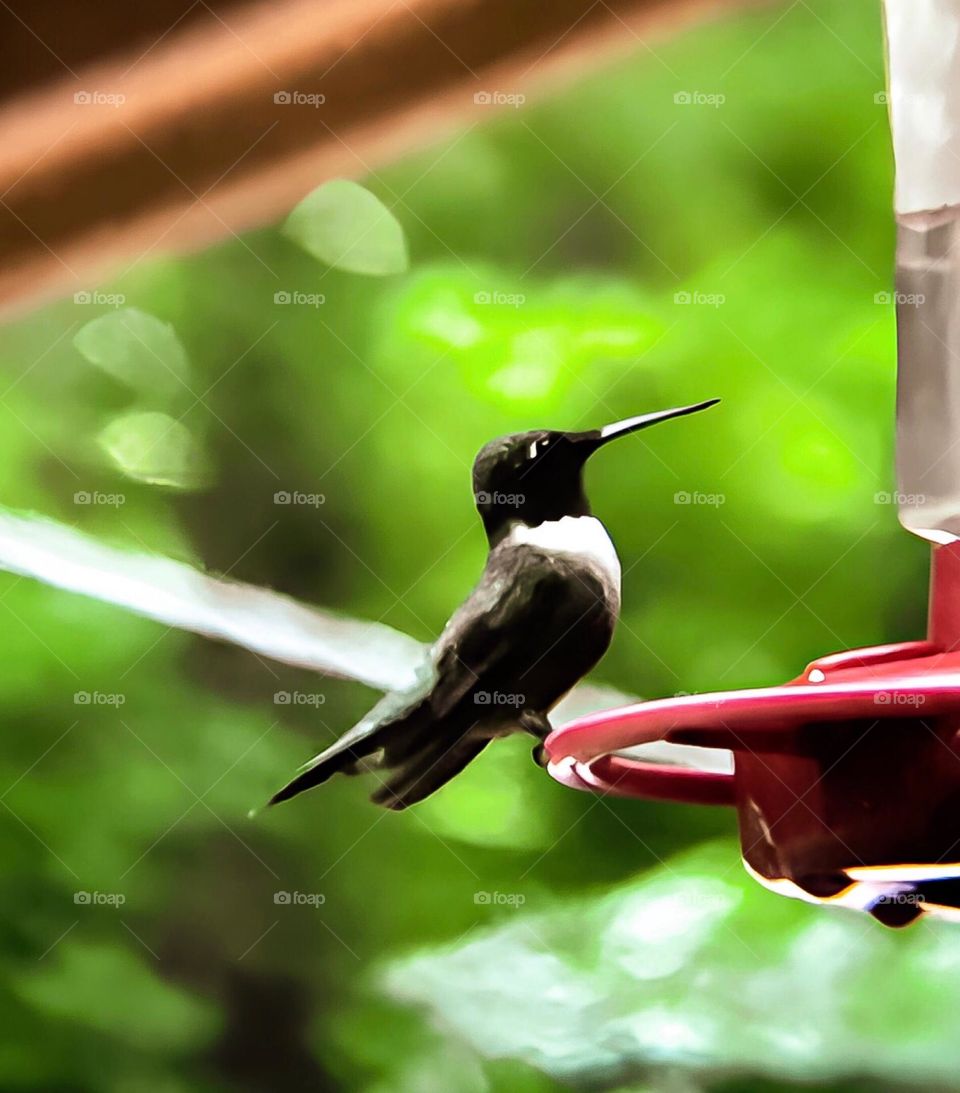 He's checking out his new,  refreshing sweet water.