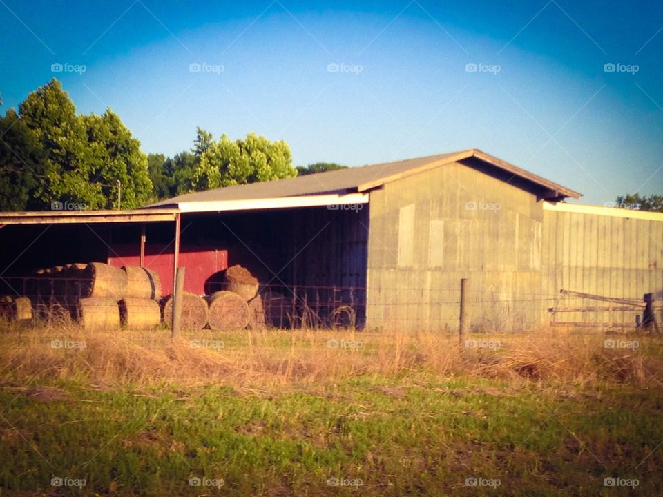 Barn yard building 