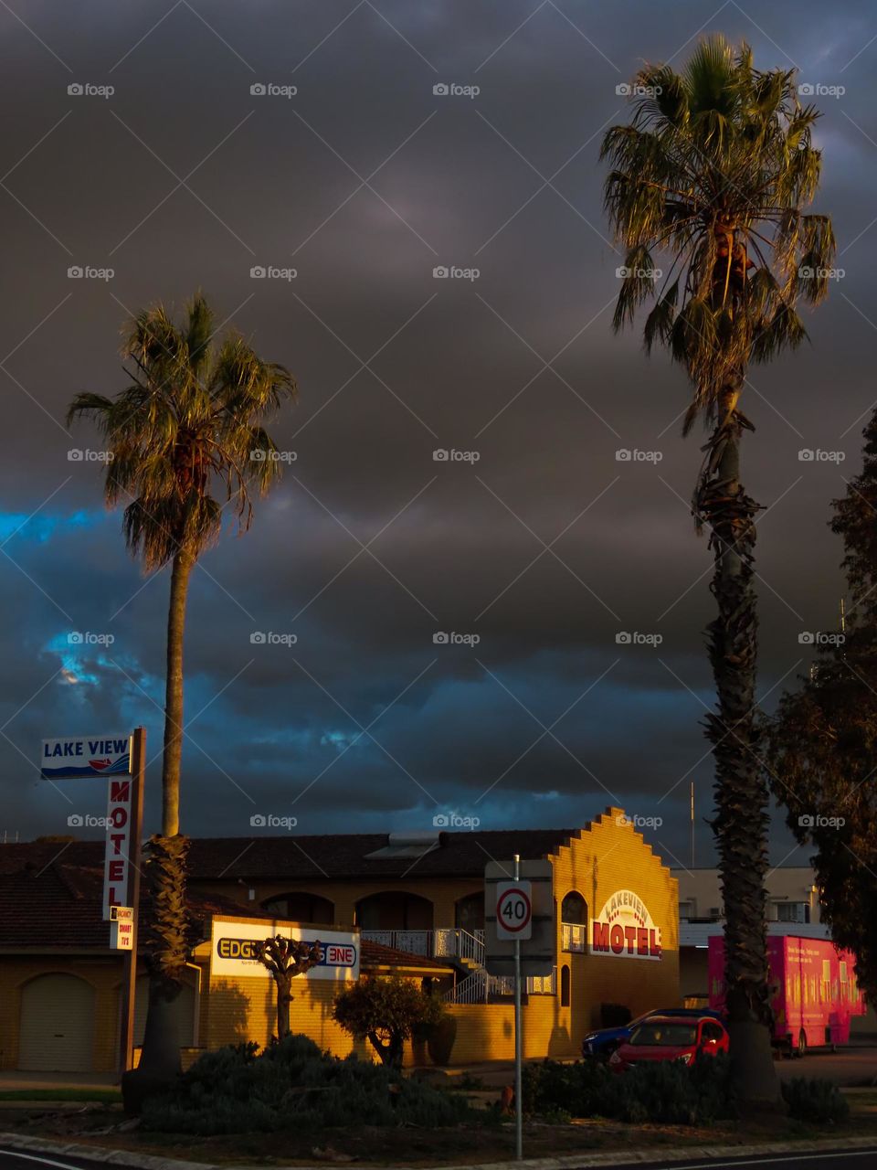 Palm trees in town on a stormy day