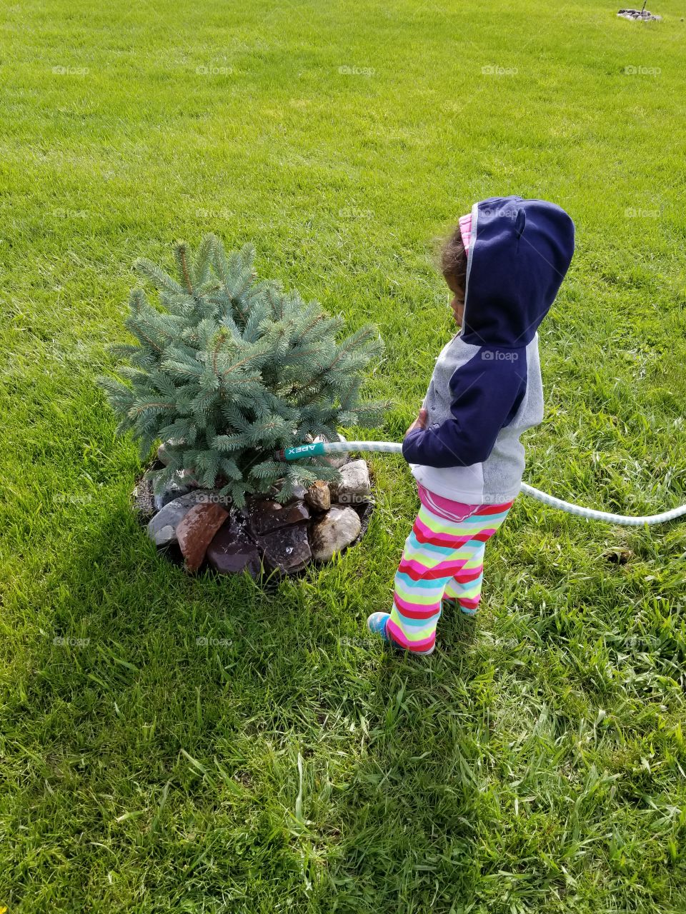 toddler learning how to water the plants,  gardener in the making