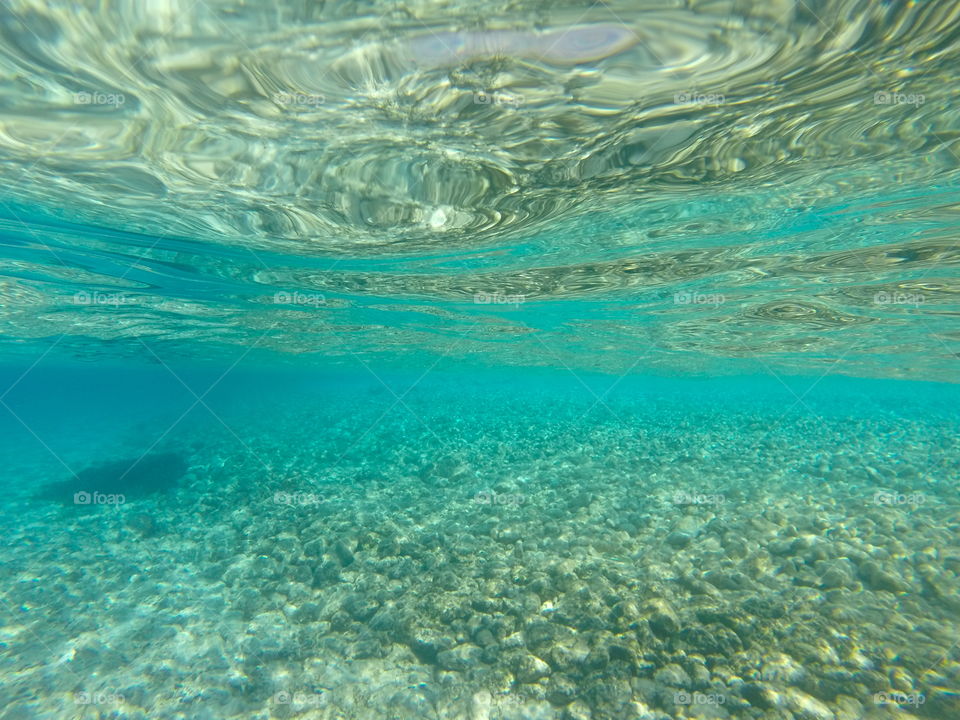 underwater landscape