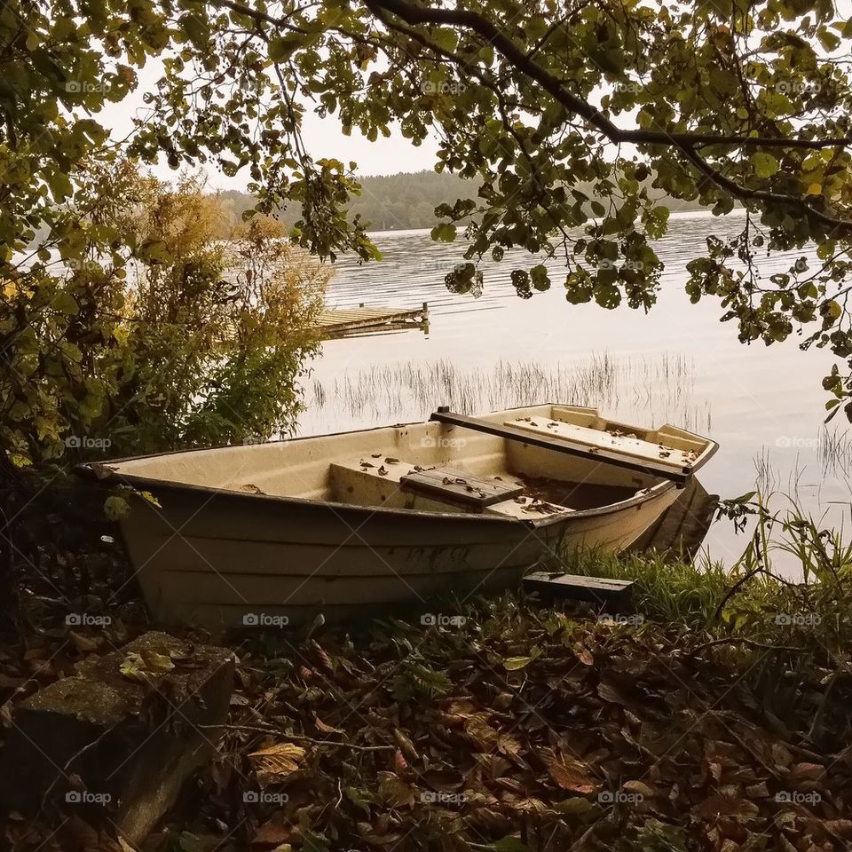 Boat at shore