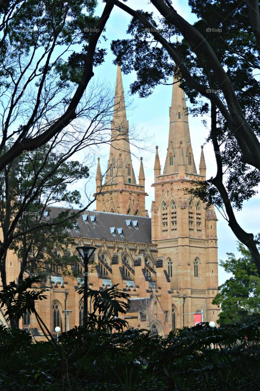 St Mary's Cathedral in Sydney 