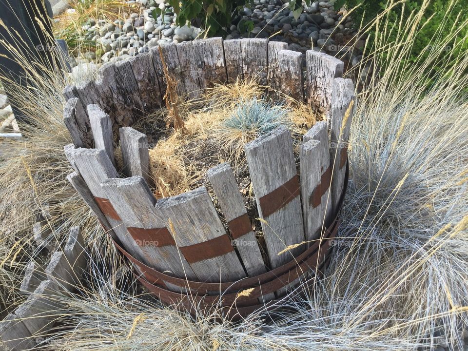 Barrel in a Garden 