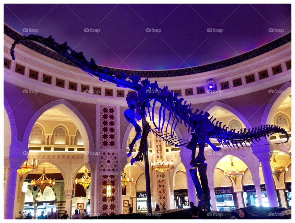 Dino Bones. Dinosaur skeleton in Dubai Mall. 