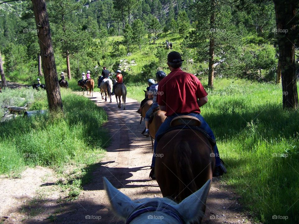 Horseback riding in Custer State Park