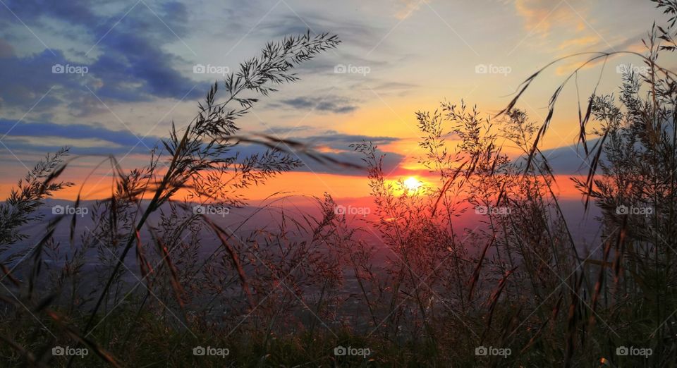 Camping outside and watching the sunrise,
