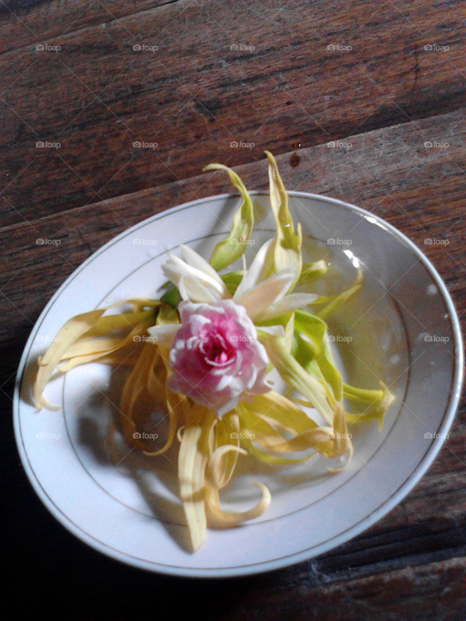 flower in plate