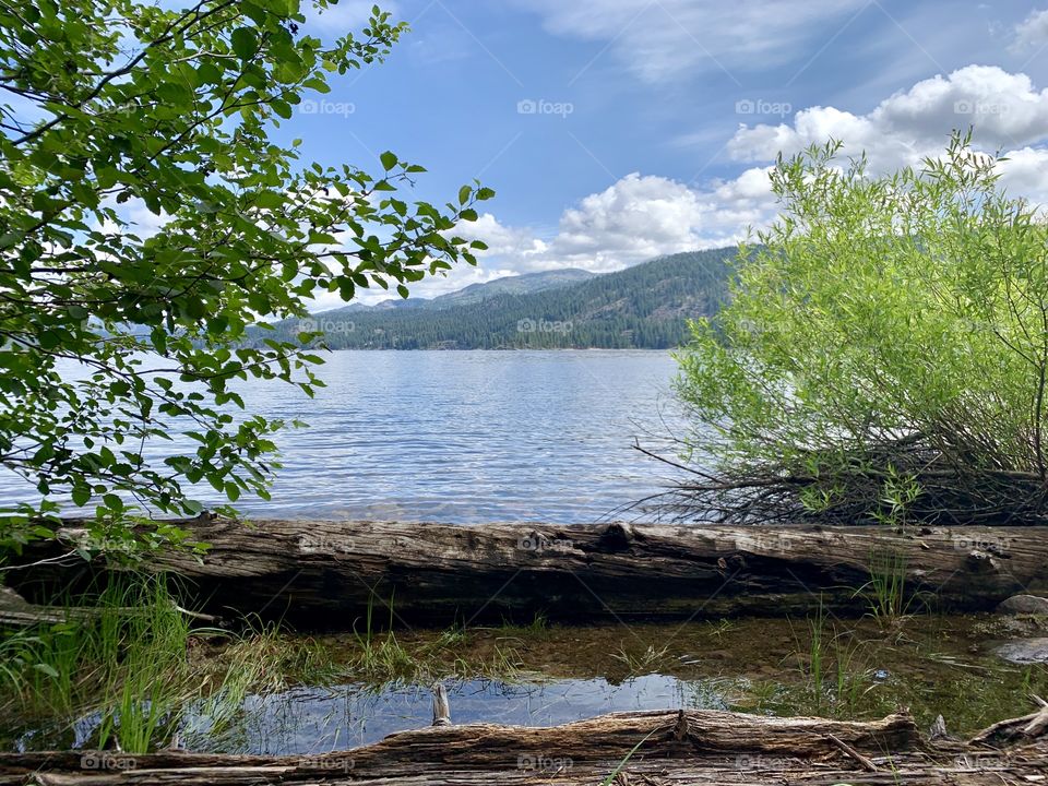 Edge of the lake with trees and bushes in the foreground and mountains in the background.