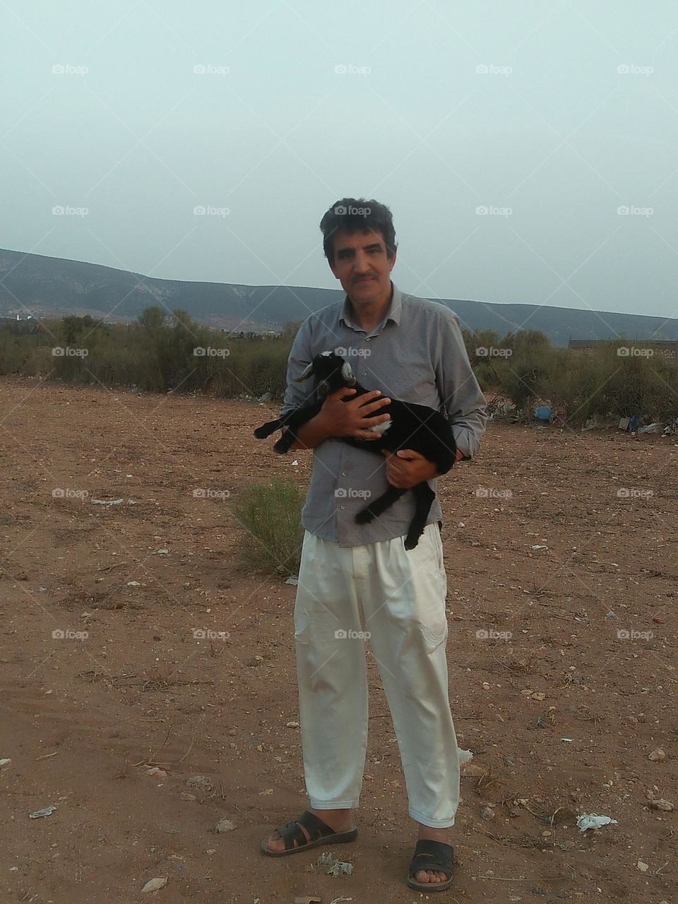 I m holding a baby goat.