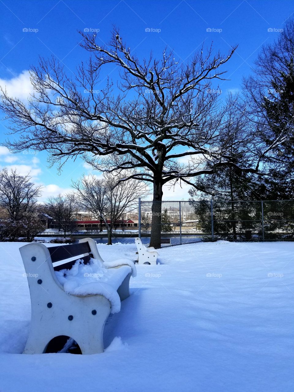 Snow storm in March. This was the day after. Nice and sunny to walk in the park. Benches are still covered with snow.