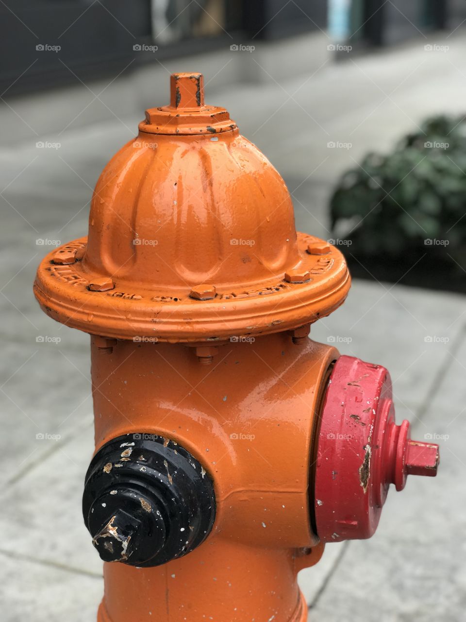 Fresh and bright orange fire hydrant. 