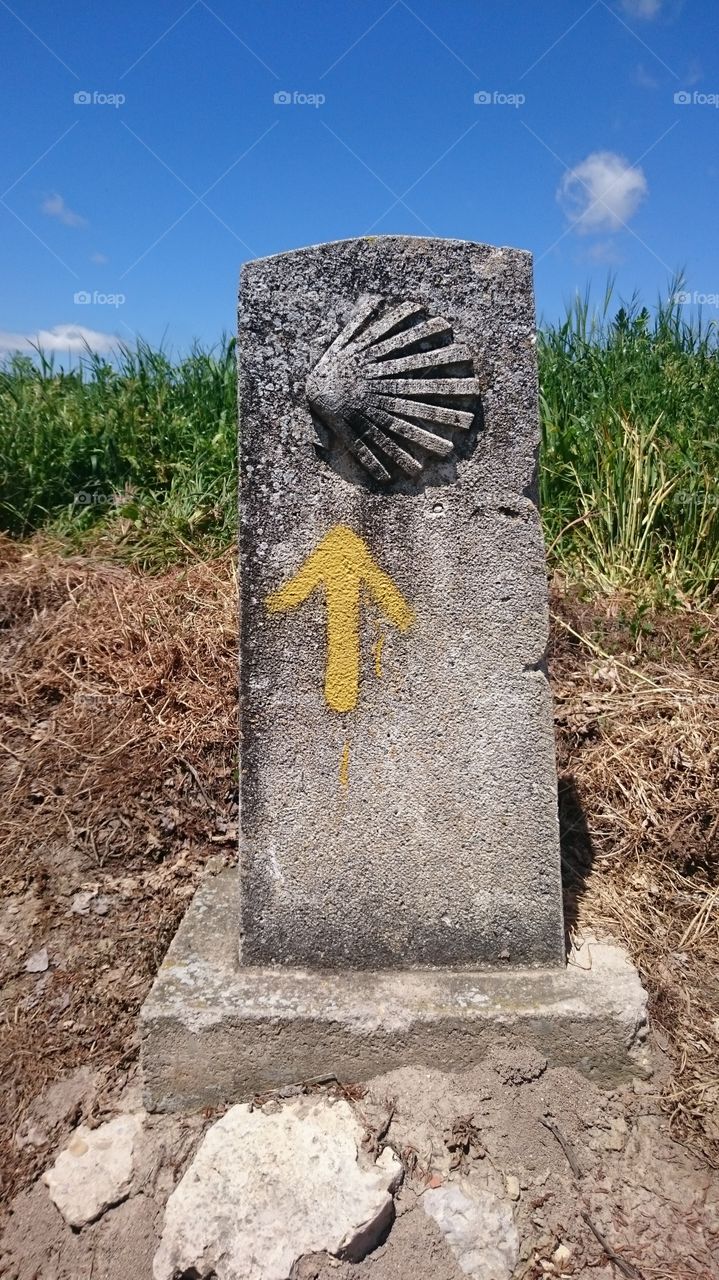 Flecha Amarilla del camino. camino de santiago