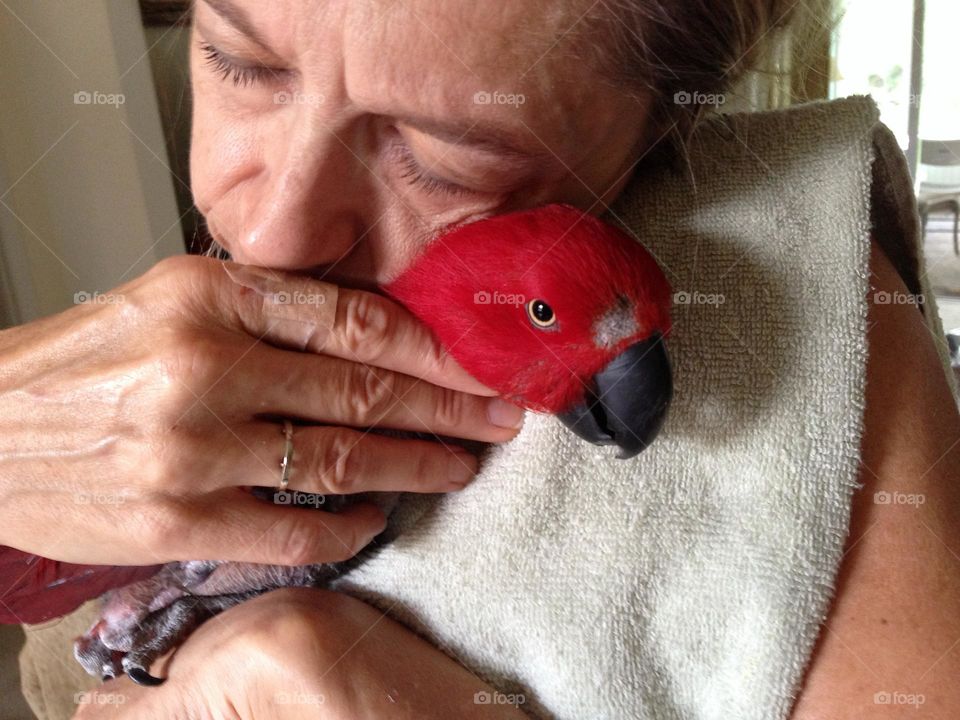 Woman cradling a pet Parrot.