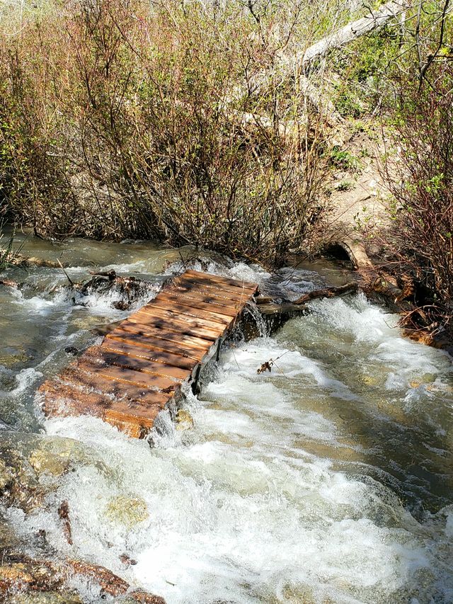 bridge