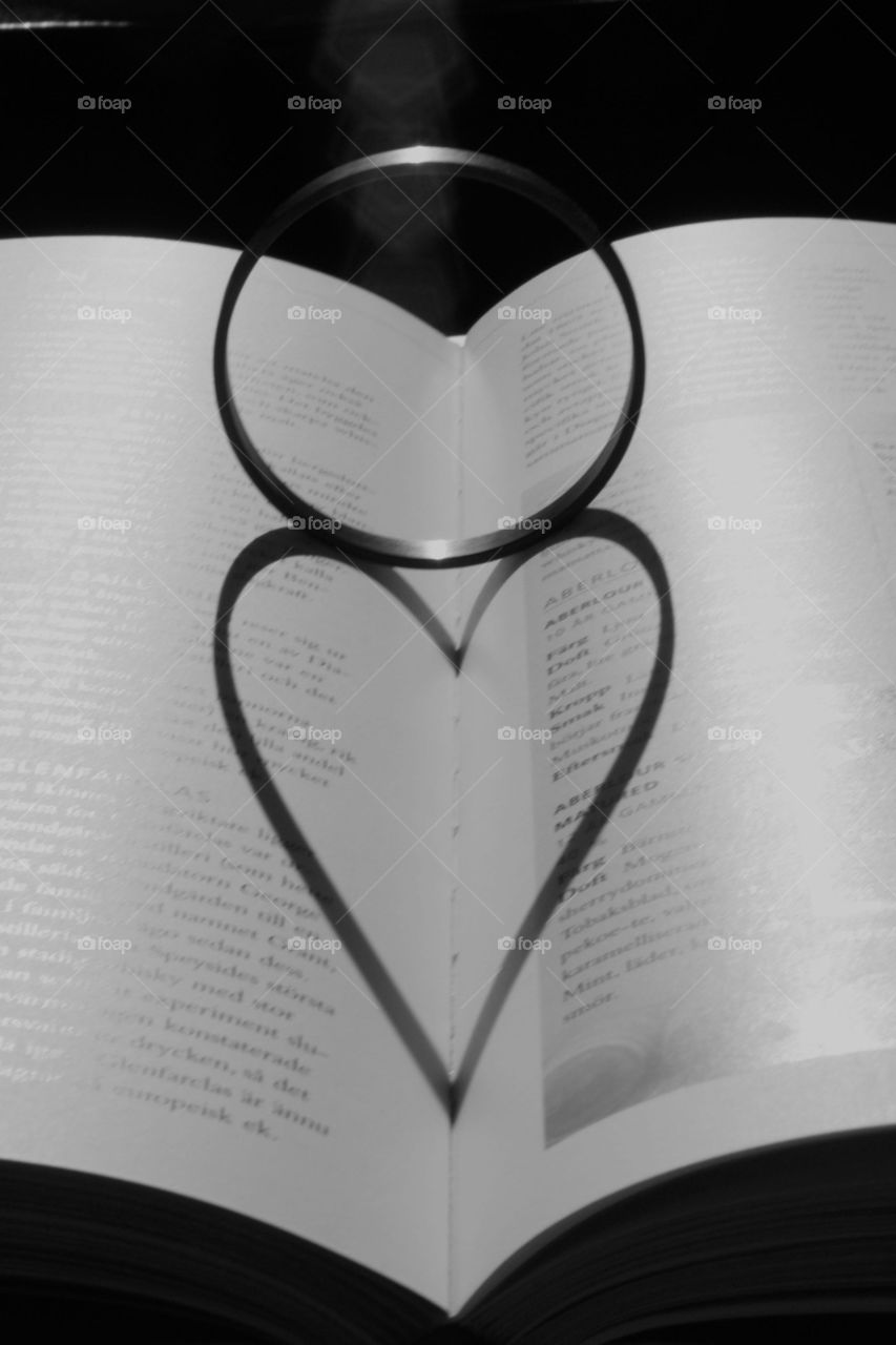 shadow love light book by a.bondesson