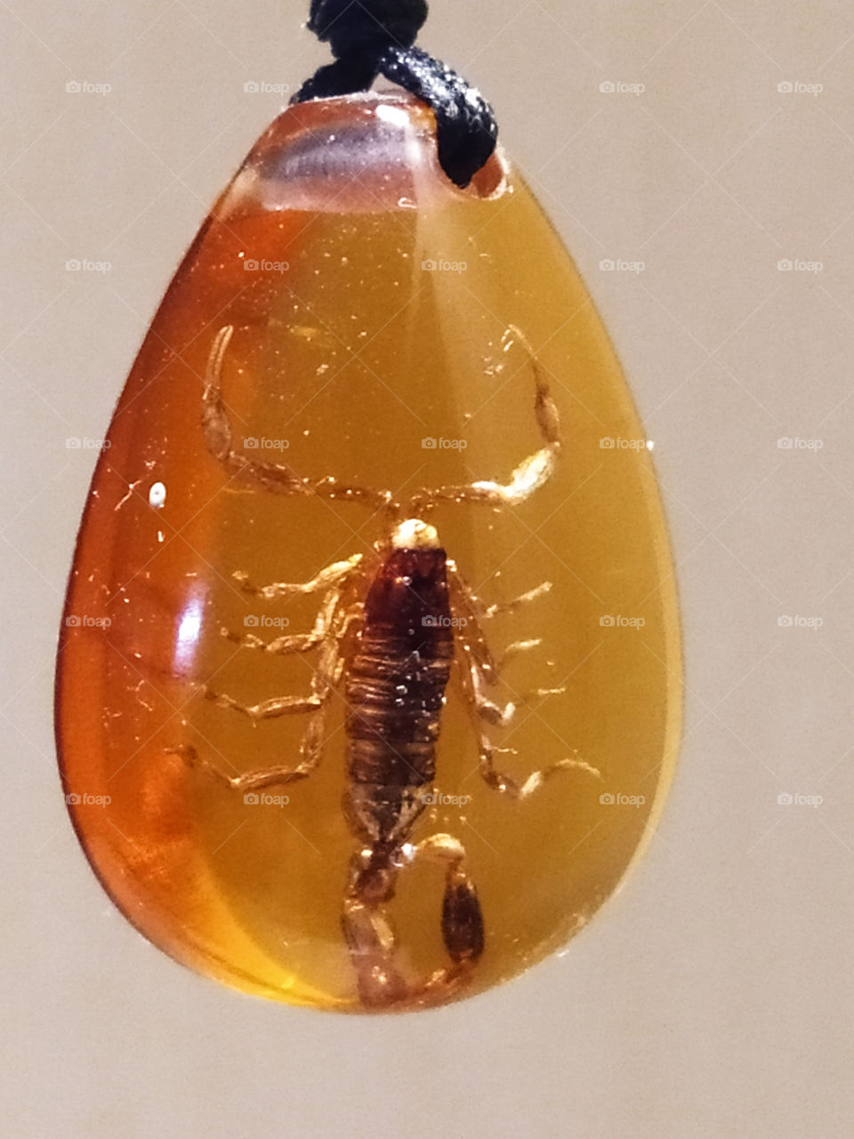 Scorpion inside the pendant