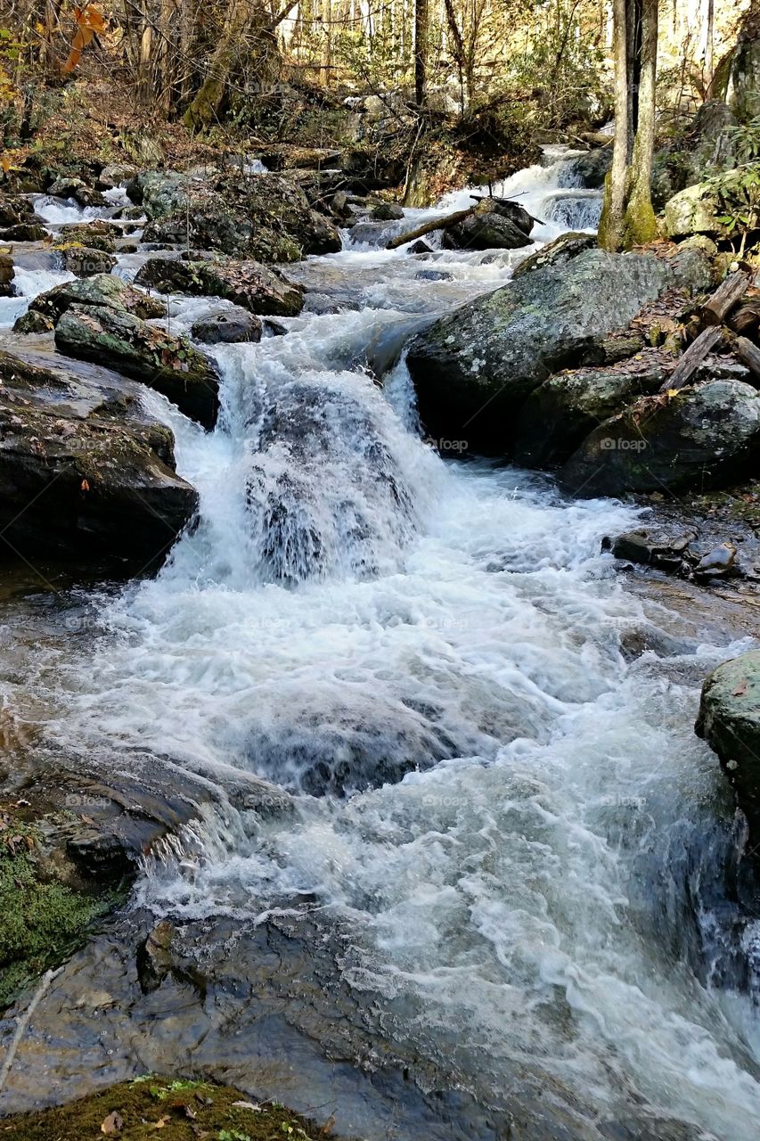 rushing water in a rocky stream