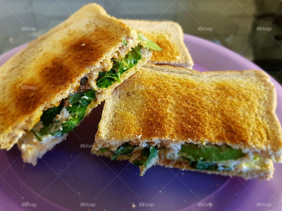 Philadelphia coriander and avocado sandwiches with toast
