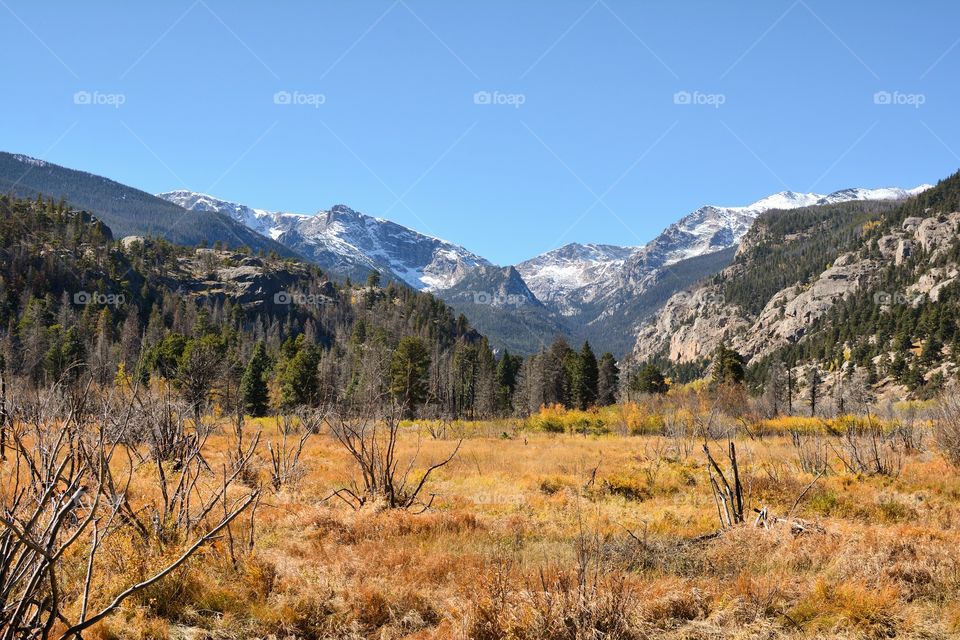 Moraine Park Rocky Mountain National Park 