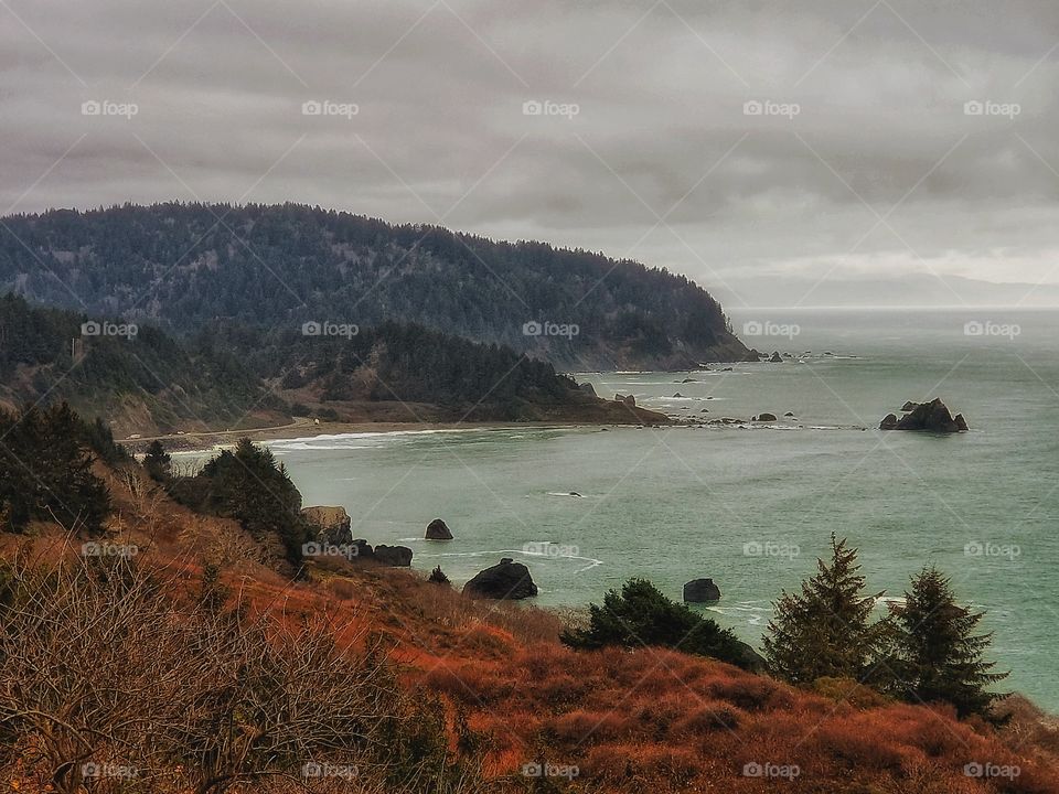 Oregon Coast