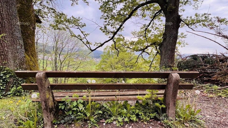 Relax in the florest