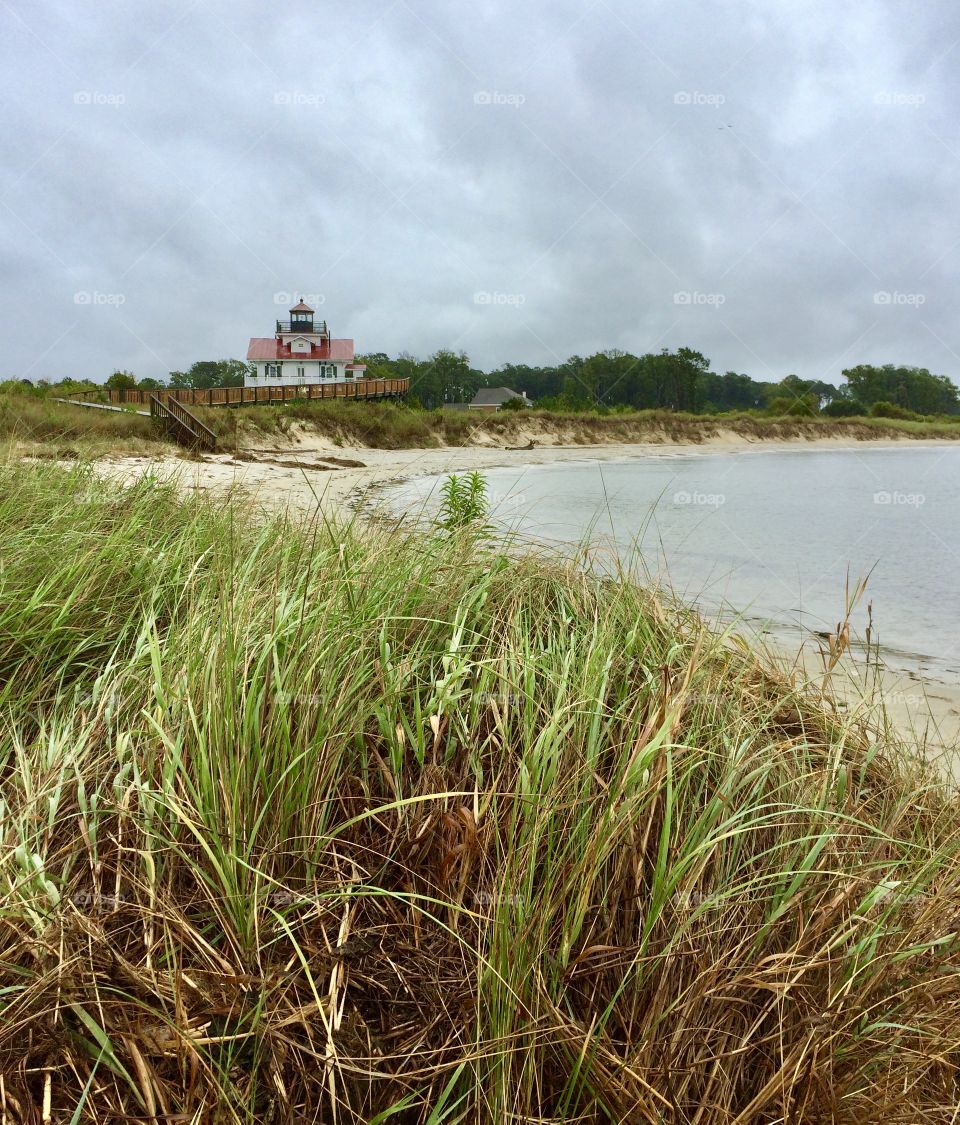 Beach Surrounded by Grass