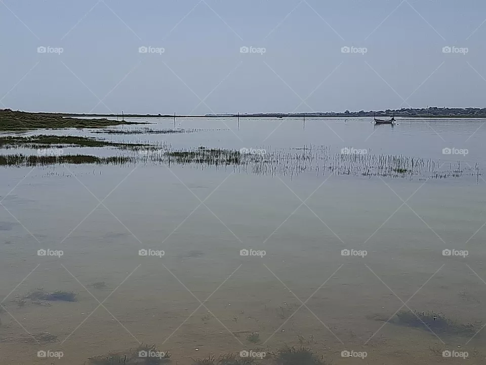 Lagoon uprising