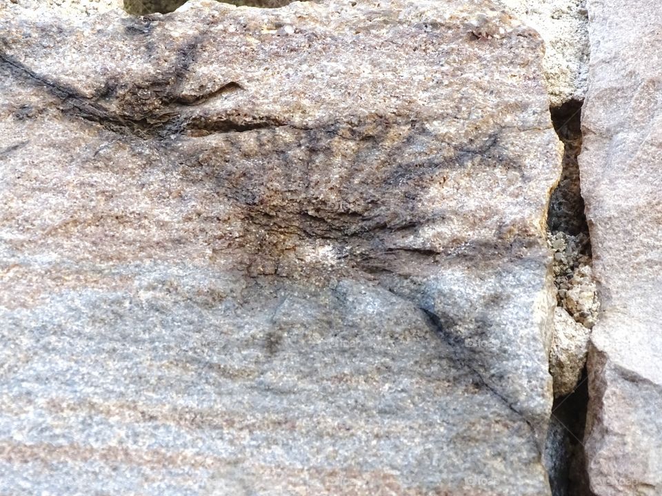 The shots of the execution in the castle of Montjuic