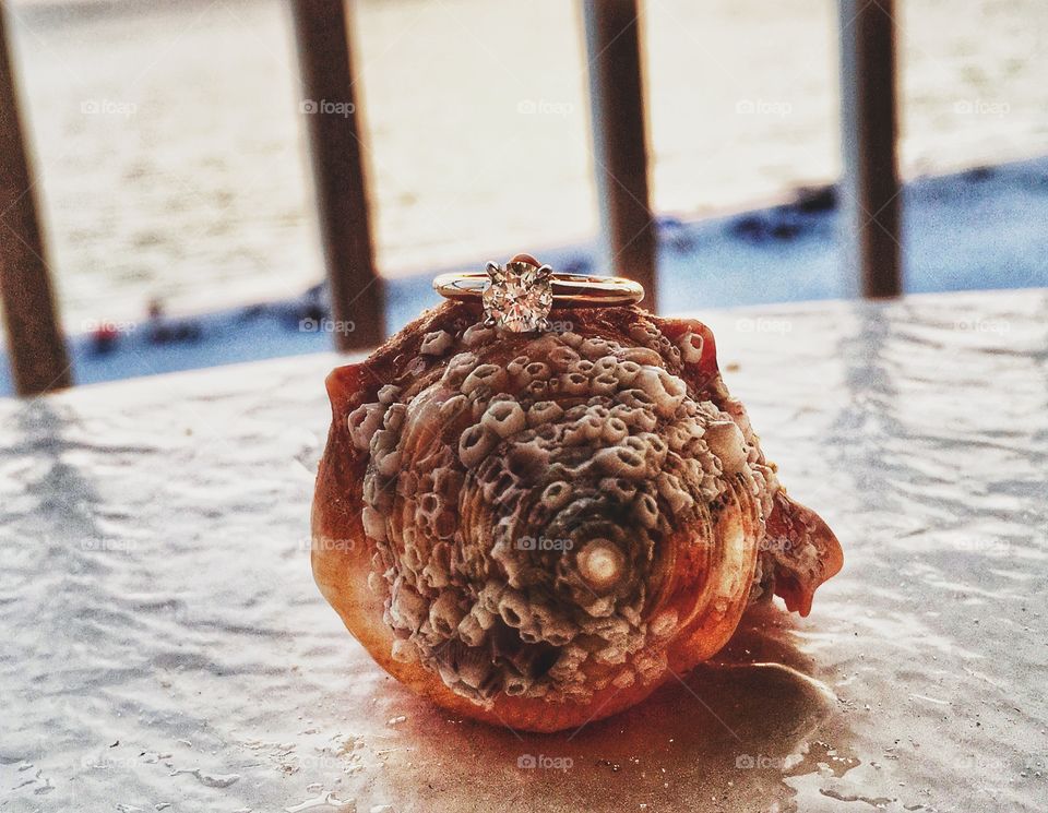 Pretty engagement ring sitting on top of a sea shell  