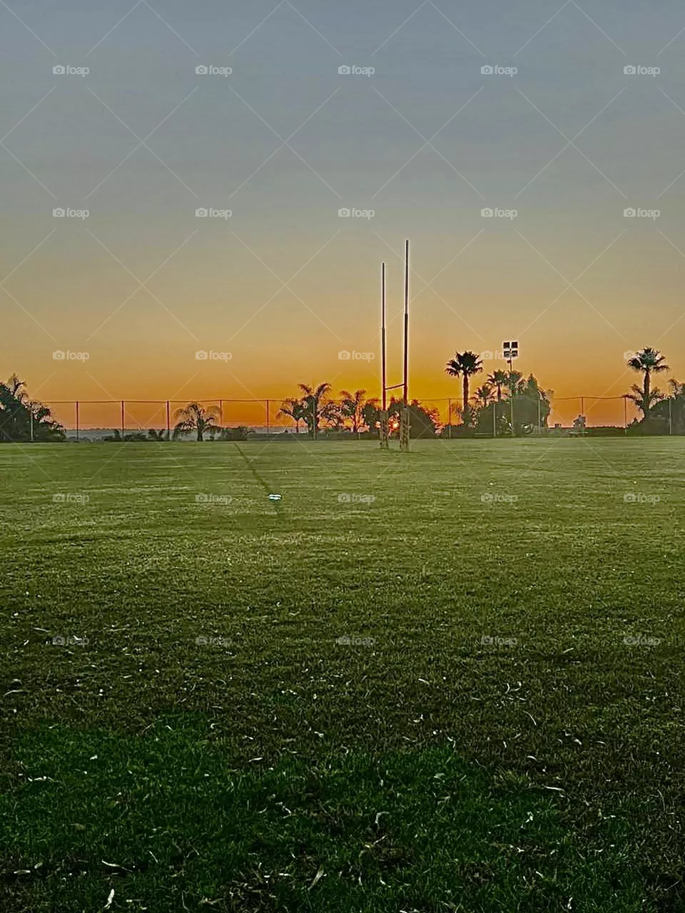 Pitch Views!