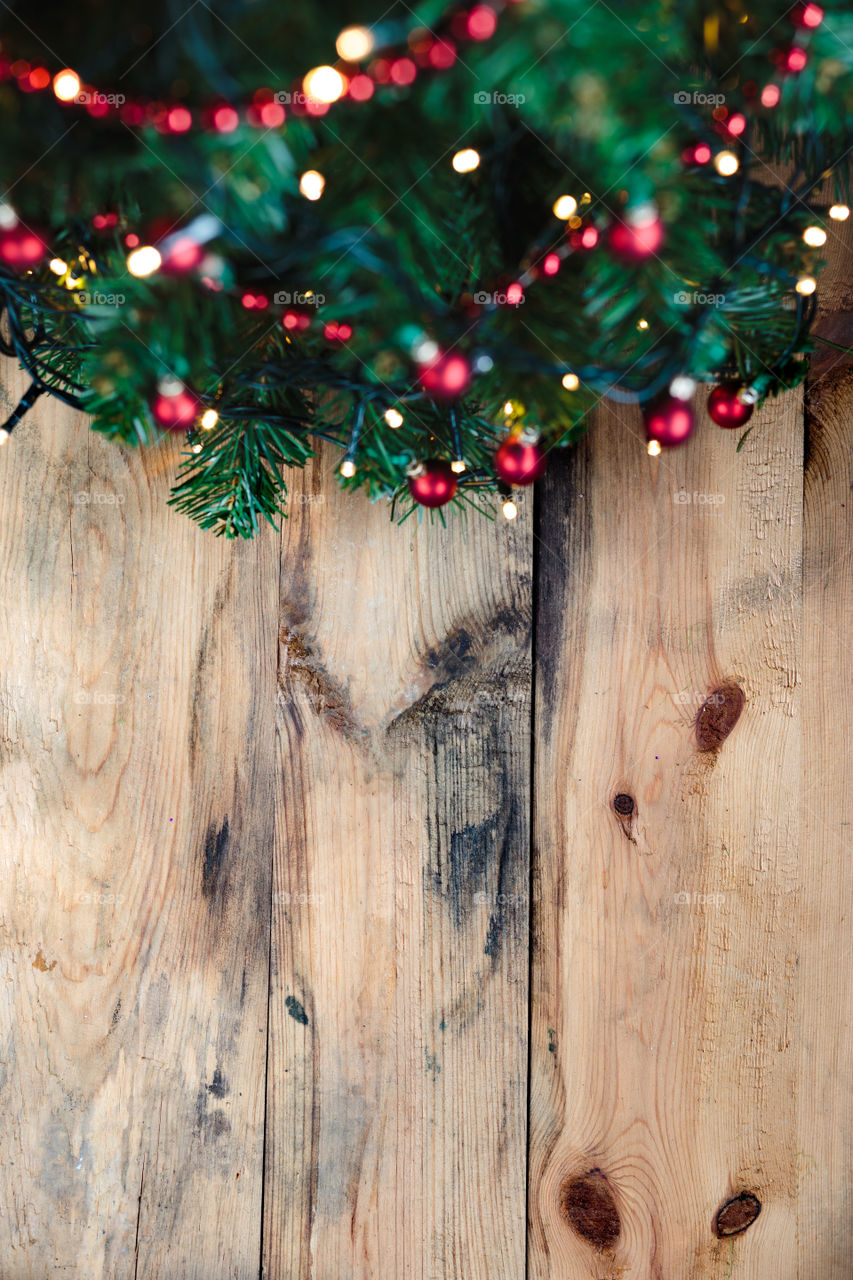 Close-up of christmas tree