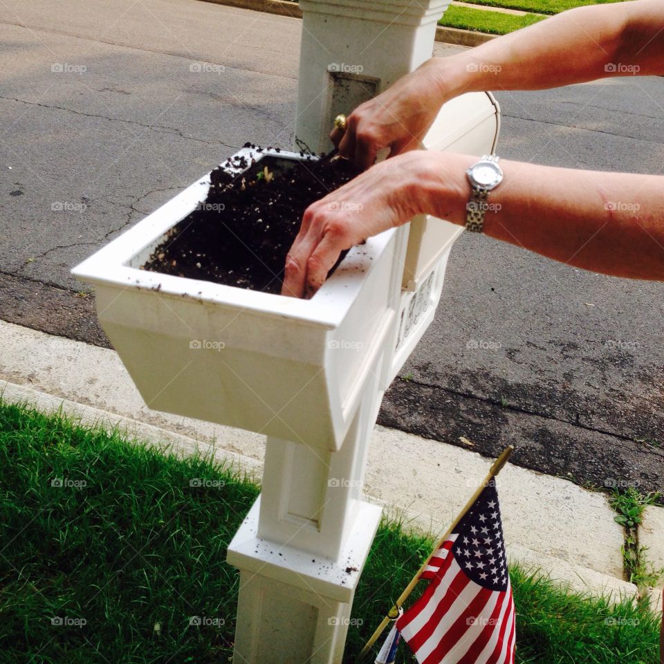 Mailbox planter