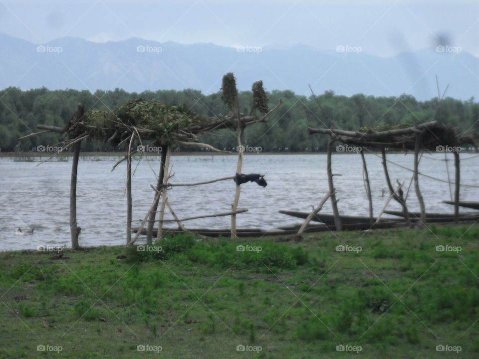 boats by carrying something