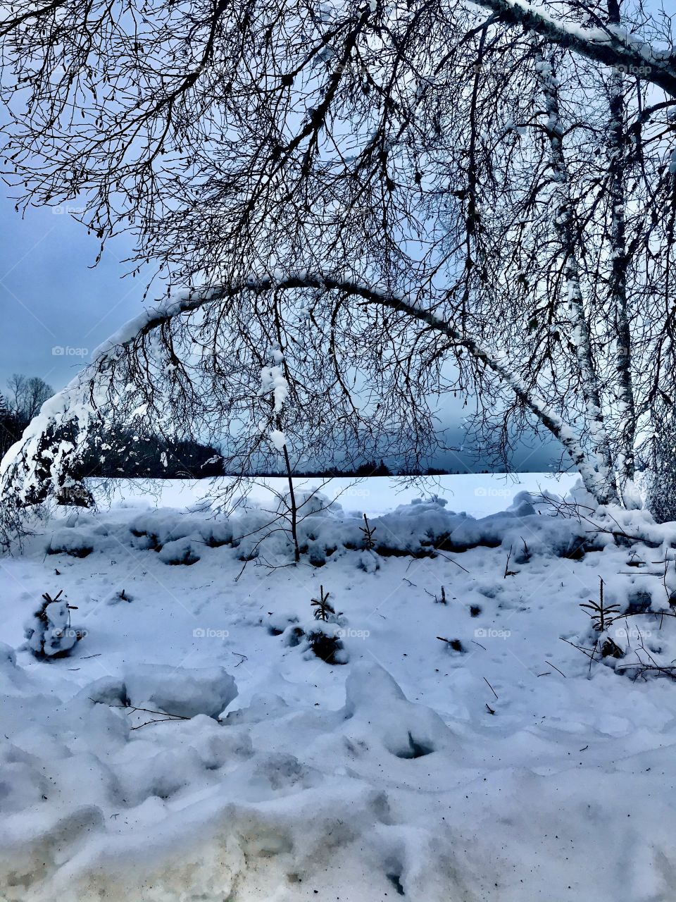 Winter’s arch