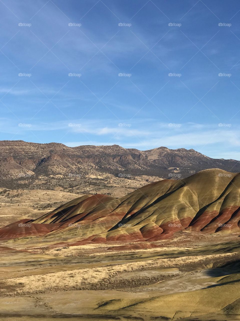 The incredible beauty of the red, gold, and browns of the textured Painted Hills in Eastern Oregon on a bright sunny day.