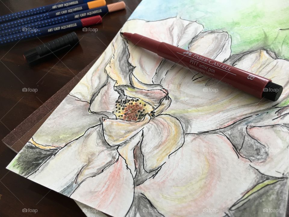 Watercolor sketch of flower on Wood table and sketchbook with colorful Faber-Castell PITT Artist pens and Art Grip Pencils 